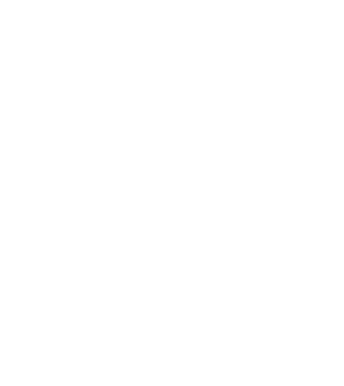 Wasps